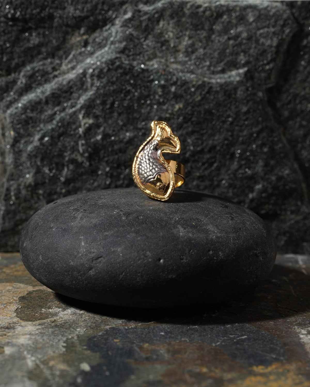 Fish ring